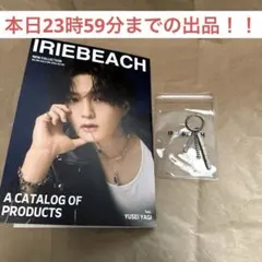 Item thumbnail for item da1fcac9-4435-440c-8d41-5b7df45356dc