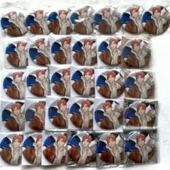 ヒプノシスマイク　ヒプマイ　毒島メイソン理鶯　缶バッジ 31個セット　ew04