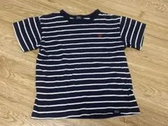 POLO ネイビーとホワイトボーダーTシャツ