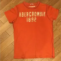アバクロ Tシャツ   オレンジ  S