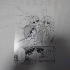 聖闘士星矢 セインティア翔 4巻 アニメイト特典 イラストペーパー