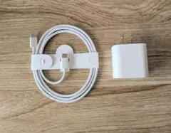 Apple 純正ケーブル タイプC to C ACアダプタ