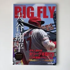 Item thumbnail for item 880053b7-d077-4d07-b3b6-ed6bb9392a79