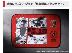 Jリーグ100年構想 浦和レッズ 『熱狂開幕ブランケット』新品未使用