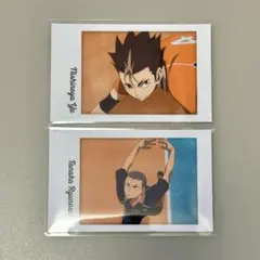 ハイキュー!! 西谷夕 田中龍之介 キャラポトレ