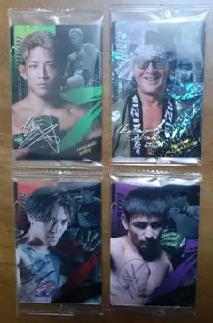 ライジンウエハース4枚セット