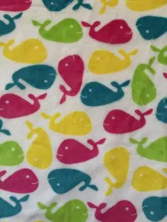 Item thumbnail for item b517e9a1-33f0-4652-a904-2fd7b40cb398