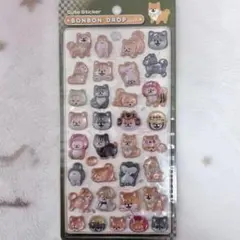 【正規品】ボンボンドロップシール BONBONDROP 和柄 柴犬 クーリア