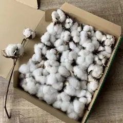 Item thumbnail for item b85bdc31-f5f8-4799-8746-776d8afd27b1