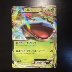 フシギバナEX RR XY1 コレクションX 001/060 RRのサムネイル