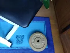 ボクシング プロレス同好会 空手 キック 総合格闘技 最高音 検 