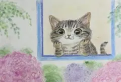 猫 絵画 子猫 イラスト 水彩色鉛筆 油彩色鉛筆 原画 紫陽花と白猫