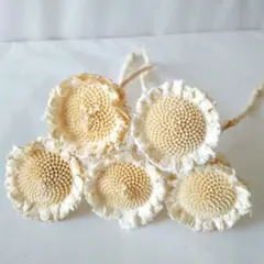 yoc様 リクエスト 2点 まとめ商品