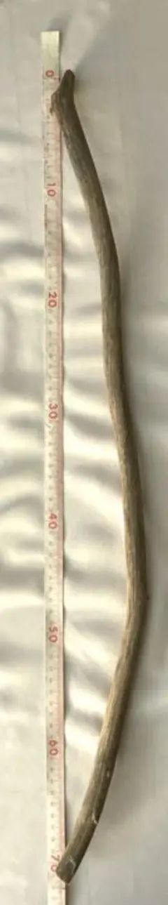 Item thumbnail for item b438f671-dced-466f-ba91-35235cb92a6b