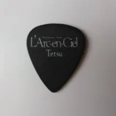 L'Arc-en-Ciel ラルクアンシエルtetsu ピック 奇跡の新品未使用