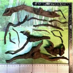 お買い得枝流木セットB 14本　煮沸沈水確認済
