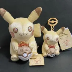 ポケモン30周年記念 パッケージピンズ4種とピカピカ！ピカチュウ