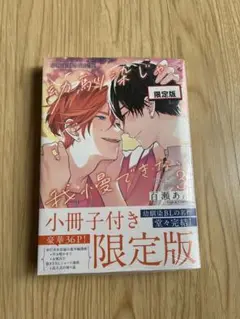 幼馴染じゃ我慢できない 3巻 百瀬あん 小冊子付き 未開封