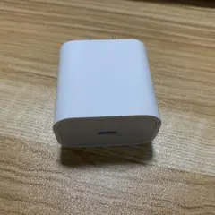 USB-C充電器 ホワイト 2ピン