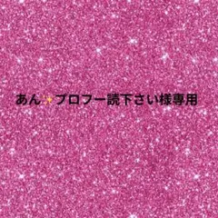 あん✨様専用ページ