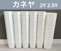 カネヤ 2Y 2.5Y 八角鉢 白 95個 プラ鉢 スリット鉢 多肉植物のサムネイル