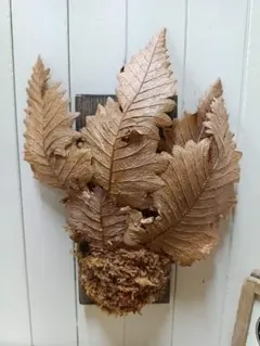 Tao様 リクエスト 2点 まとめ商品