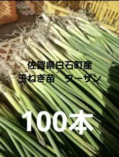 2026年最新】ターザン 苗の人気アイテム - メルカリ