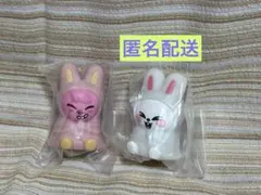 SKZOO ライトマスコット　リービット　トゥエッキ　Straykids スキズ