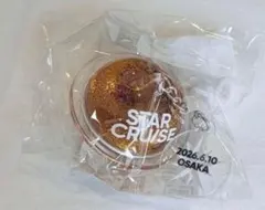 仙台限定】STARGLOW STARCRUISE Local Keyring - メルカリ