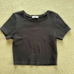 WEGO リブTシャツ