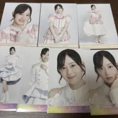 乃木坂46 生写真 2024 August September レア 向井葉月