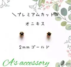 【極小2mmゴールド】オニキスの１粒ピアス