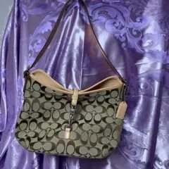 お値下げ✩.*˚極美品 コーチ COACH  とてもオシャレな、ハンドバッグ
