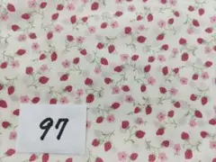 anponshii♡様 リクエスト 2点 まとめ商品＋ミシェルバードハギレ