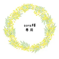 sora様　-専用ページ-