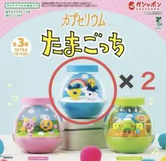 たまごっち　カプセリウム　まめっち✖️2