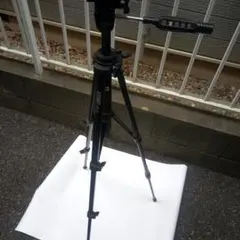 Item thumbnail for item 3af795ea-042b-4f34-a450-d498e444fbd0