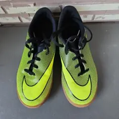 Item thumbnail for item 5b034cf6-1e89-4a01-9b07-256f1c02c140