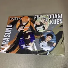 ハイキュー たまご型缶バッジ 鳥野高校×梟谷学園高校ver 未開封