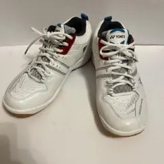 Item thumbnail for item dc0a1815-1f02-49be-abbc-94de370effcd