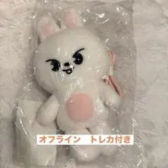 SEVENTEEN choitcherry エスクプス チェチェリー ぬいぐるみ - メルカリ