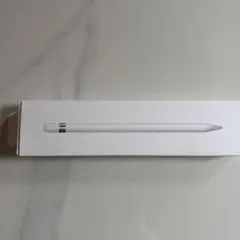Apple Pencil (第1世代) A1603 iPad アップルペンシル