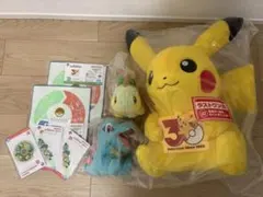 ポケモン 一番くじ ラストワン賞 ピカチュウ E賞キモリ I賞ラバー