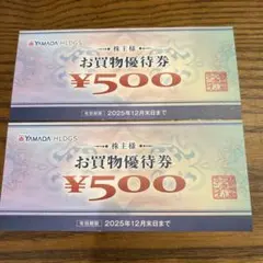 ヤマダ電機 株主優待割引券 1000円分(500円×2枚)