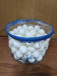 MERYTES SPORT 卓球ボール 大量セット