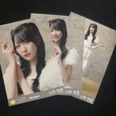 ニアジョイ ( ≒JOY 生写真 愛が痛かった コンプ 山田杏佳 - メルカリ