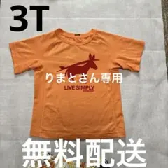 patagonia ラッシュガード　水着　半袖　3T