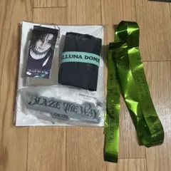 &TEAM BTW ベルーナアンコン アプグレ特典 タペストリー YUMA 銀テ