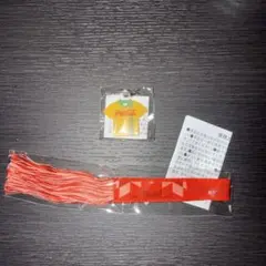 コカコーラ　ミサンガ&ミニチャーム