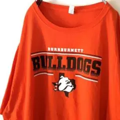 フルーツオブザルーム ブルドッグス Tシャツ 2XL オレンジ 古着